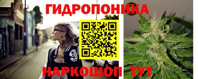 ECSTASY Бийск