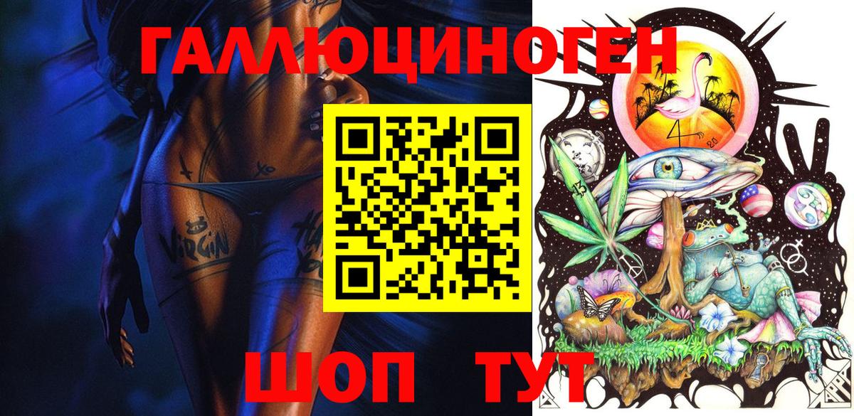 Псилоцибиновые грибы Psilocybe Заволжье