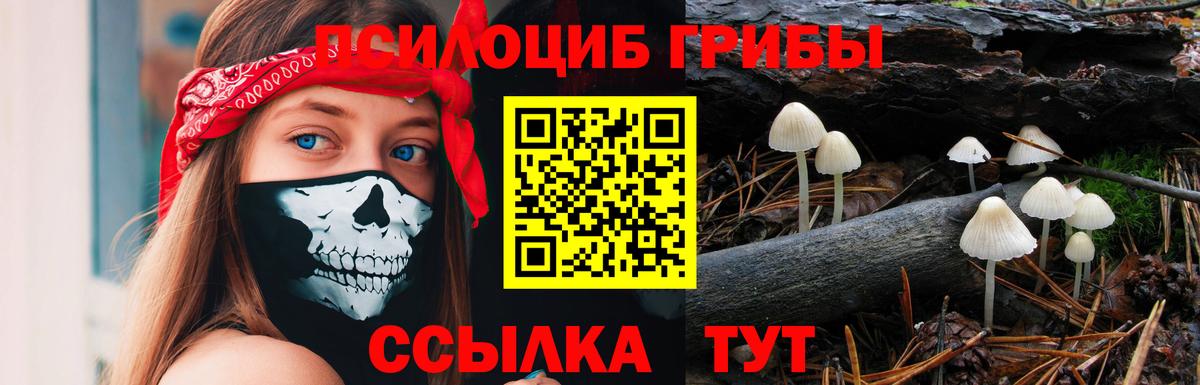 Бошки Шишки  Вход с VPN  Меф   NBOMe  МЕТАМФЕТАМИН  ГАШИШ  Заволжье  Гашиш 