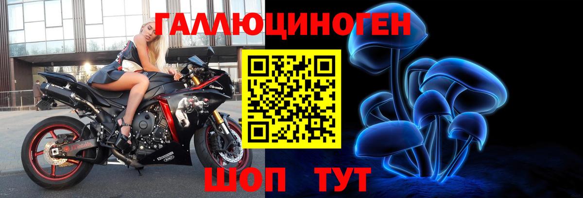 закладки  Вход с VPN  Заволжье  Галлюциногенные грибы мицелий 